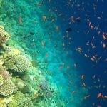 بالصور الثقب الأزرق The Blue Hole أجمل الأماكن الطبيعية في دهب بالصور الثقب الأزرق The Blue Hole أجمل الأماكن الطبيعية في دهب