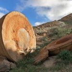 شاهد وادي الكرات في كازاخستان بالصور