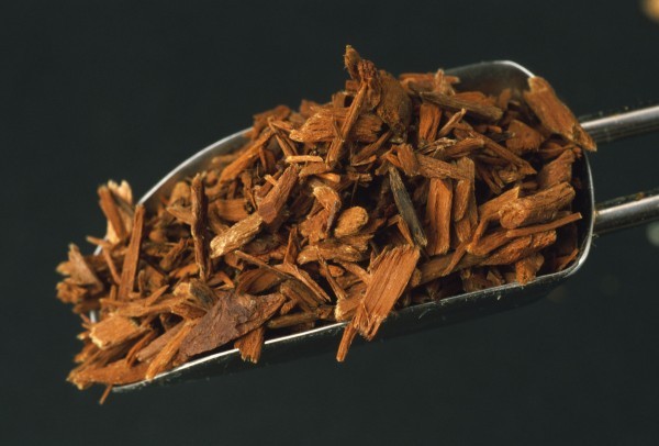 تعرف على نبات اليوهمبي وفوائده واثاره الجانبيه