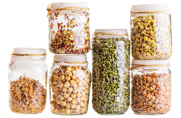 فوائد تناول الحبوب الكاملة لصحتك فوائد تناول الحبوب الكاملة لصحتك