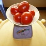 عمل مربي الطماطم بالصور