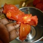 عمل مربي الطماطم بالصور