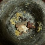 عمل مربي الطماطم بالصور