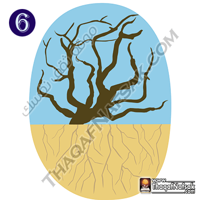 جذور الأشجار تعكس شخصيتك