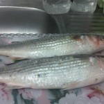 طريقة عمل الفسيخ بوصفة أمنة وبسيطة بالصور في البيت