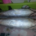 طريقة عمل الفسيخ بوصفة أمنة وبسيطة بالصور في البيت