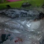 طريقة عمل الفسيخ بوصفة أمنة وبسيطة بالصور في البيت