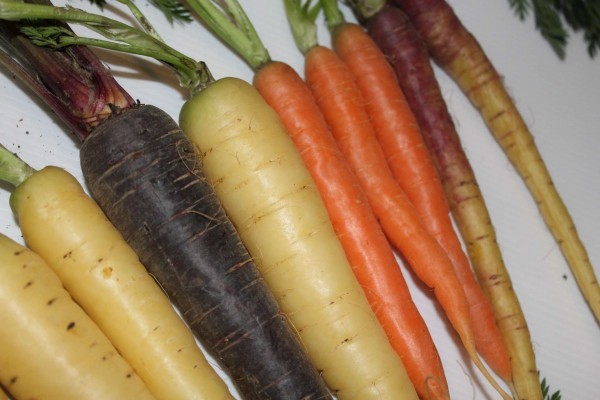 فوائد الجزر ولماذا يعتبر أفضل مصدر للكاروتينويدات المضادة للاكسدة