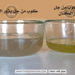 جل بذور الكتان لصحة الشعر ونموه بالصور