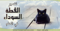 تفسير القطة السوداء في الحلم