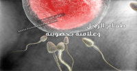 كيف يؤثر النظام الغذائي علي خصوبة الرجل كيف يؤثر النظام الغذائي علي خصوبة الرجل
