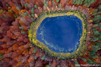 شاهد الخريف كما لم تشاهده من قبل صور مدهشة