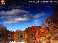 حقائق عن فصل الخريف