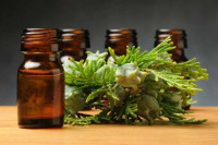 فوائد زيت السرو العطرى الصحية المذهلة فوائد زيت السرو العطرى الصحية المذهلة