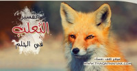 تفسير الثعلب في الحلم
