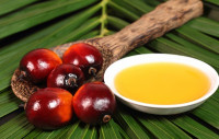 فوائد زيت نوى النخيل الصحية للجسم