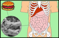 التسمم أنواعه ومخاطرة وطرق الوقاية منه التسمم أنواعه ومخاطرة وطرق الوقاية منه