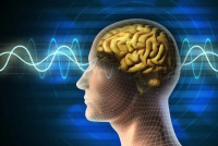 استخدام موجات الدماغ لترجمة الأحلام استخدام موجات الدماغ لترجمة الأحلام