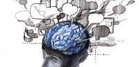 41 طريقة لتعزيز طاقة المخ وزيادة نشاطه 41 طريقة لتعزيز طاقة المخ وزيادة نشاطه
