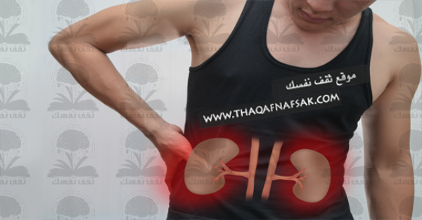 أطعمة تحميك من أمراض الكليتين وتحافظ علي صحتهما أطعمة تحميك من أمراض الكليتين وتحافظ علي صحتهما