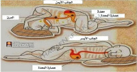 أهمية النوم على الجانب الايسر صحيا (من وجهة نظر علمية علمية ) ؟