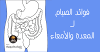 أهم فوائد الصيام للمعدة