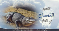 تفسير التمساح في الحلم