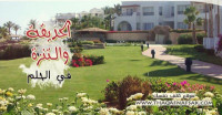 تفسير الحديقة أو التنزه في الحلم