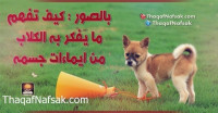 بالصور : لغة الكلاب كيف تفهم ما يفكر به الكلاب من ايماءات جسمه بالصور : لغة الكلاب كيف تفهم ما يفكر به الكلاب من ايماءات جسمه