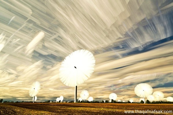 الطبيعة في صورها الرائعة للمصور مات مولوي