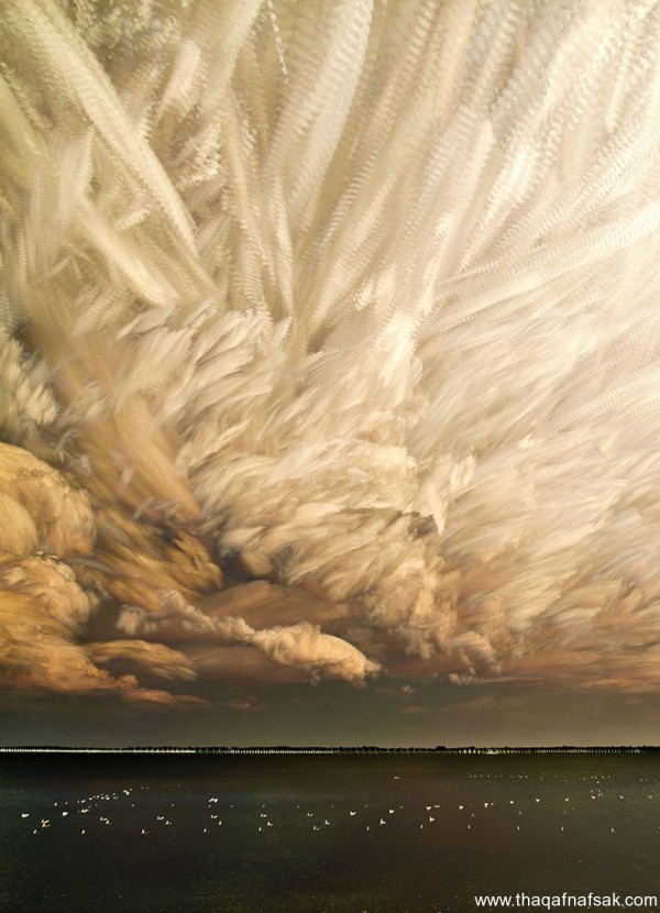 الطبيعة في صورها الرائعة للمصور مات مولوي