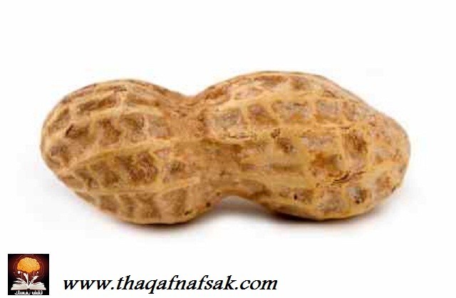 أغرب المخلوقات في غابات الأمازون المطيرة