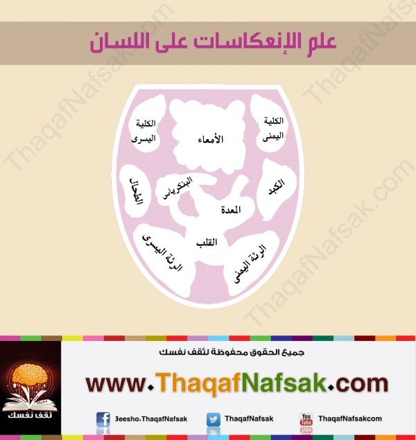 صحتك من لسانك ! علم الإنعكاسات على اللسان