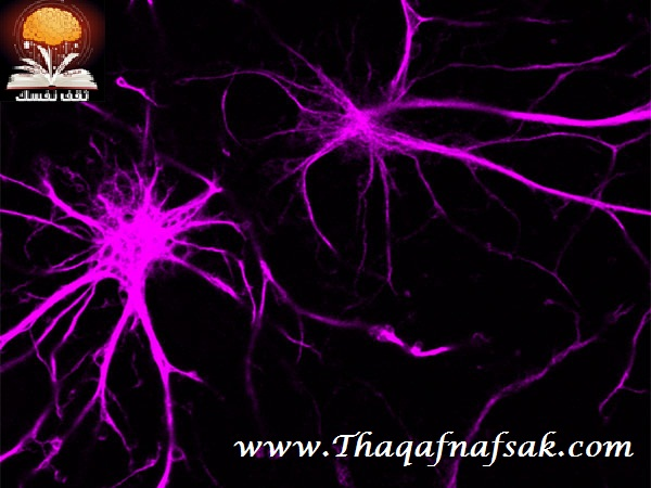 تنظيف الدماغ تنظيف الدماغ