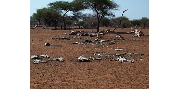 اسوأ 10 حالات جفاف في التاريخ