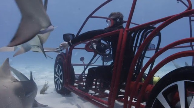 فولكس فاجن و طراز الجديد لأستكشاف أسماك القرش بالتعاون مع قناة ديسكفرى