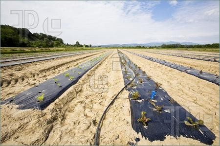 معلومات عن 5 اختراعات نظيفة من ناسا