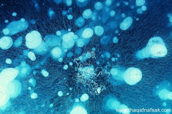 ظاهرة الفقاعات المتجدمة في بحيرة ابراهام ظاهرة الفقاعات المتجدمة في بحيرة ابراهام