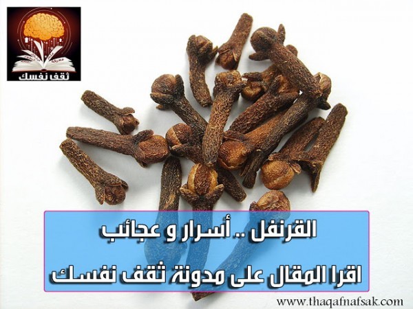 فوائد القرنفل ، أسرار وعجائب فوائد القرنفل ، أسرار وعجائب