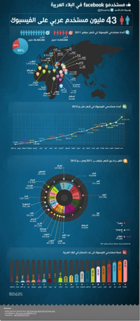 معلومة مصورة :عدد مستخدمي الشبكات الاجتماعية في الوطن العربي بالتفصيل في كل دولة على حدى .