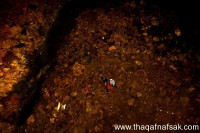 البركان الوحيد على الأرض الذي يمكنك أن تدخله