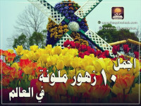 أجمل 10 زهور ملونة في العالم