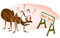 كيف تحمي منزلك من النمل و تبعده عنه ؟ 3 خطوات فقط كيف تحمي منزلك من النمل و تبعده عنه ؟ 3 خطوات فقط