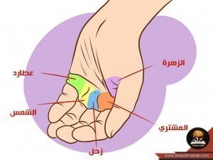 شكل اليد وعلاقته بشخصيتك وحياتك ؟ شكل اليد وعلاقته بشخصيتك وحياتك ؟