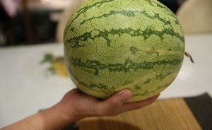 بالصور كيف تعرف البطيخ الناضج بنفسك حتي لا يخدعك التجار