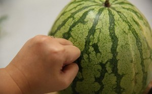 بالصور كيف تعرف البطيخ الناضج بنفسك حتي لا يخدعك التجار