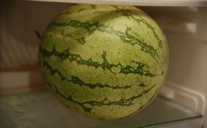 بالصور كيف تعرف البطيخ الناضج بنفسك حتي لا يخدعك التجار