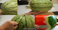 بالصور كيف تعرف البطيخ الناضج بنفسك حتي لا يخدعك التجار بالصور كيف تعرف البطيخ الناضج بنفسك حتي لا يخدعك التجار