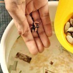 فوائد وطريقة عمل شاي حشيشة الليمون مشروب شتوي هام جدا