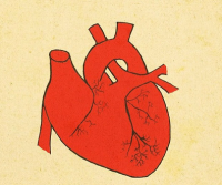 أغرب القلوب التي يمكن أن تراها في حياتك